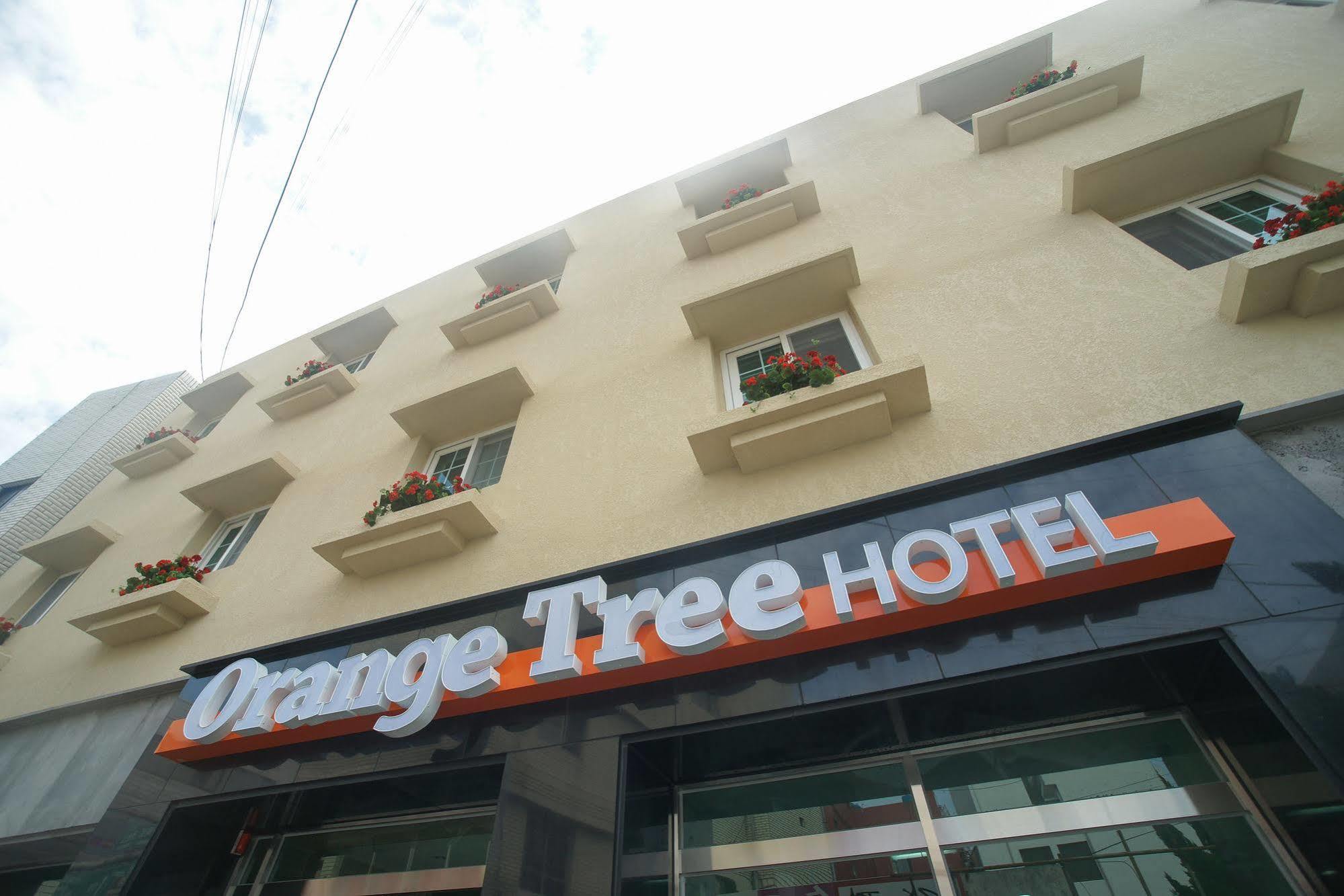 Orange Tree Hotel Jeju Exterior photo